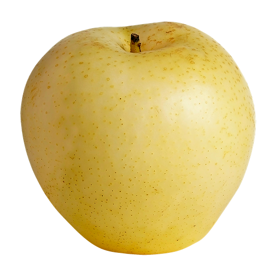 Yellow Asian Pears