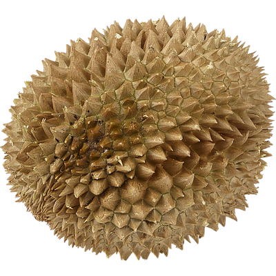 Whole Durian, Frozen