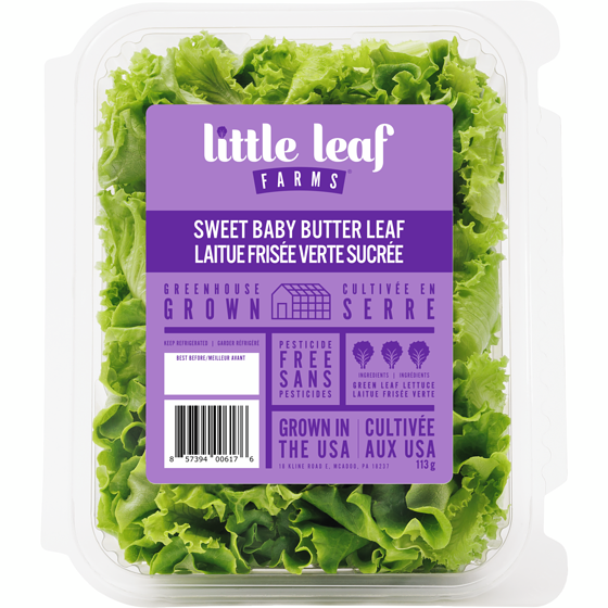 Sweet Baby Butter Leaf