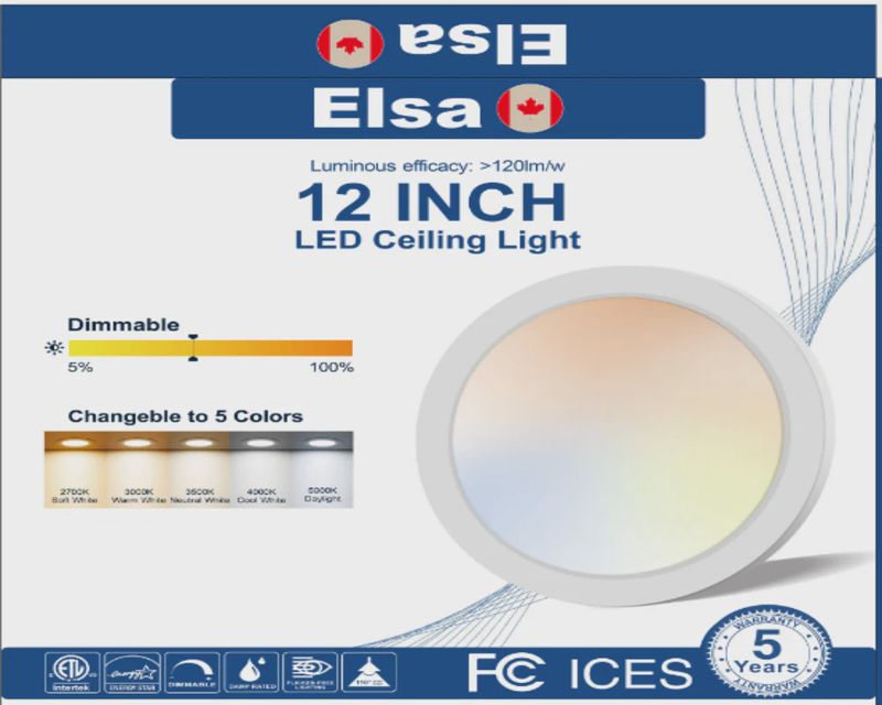 LED Ceiling Light – Flush Mount 12&quot;