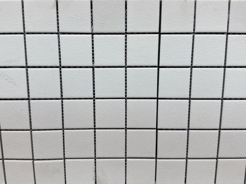 Skin Porcelain Mosaic