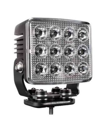 NIGHT RIDER LEDS