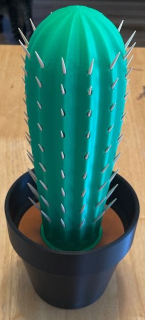 ​Cactus Toothpick Holder – Fun, Functional, and Easy to Use