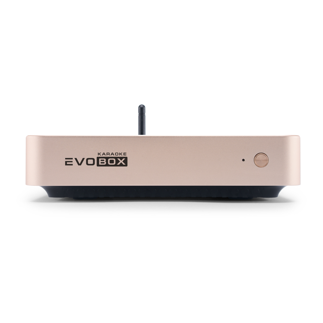 Караоке Система Evolution Pro 2 Купить
