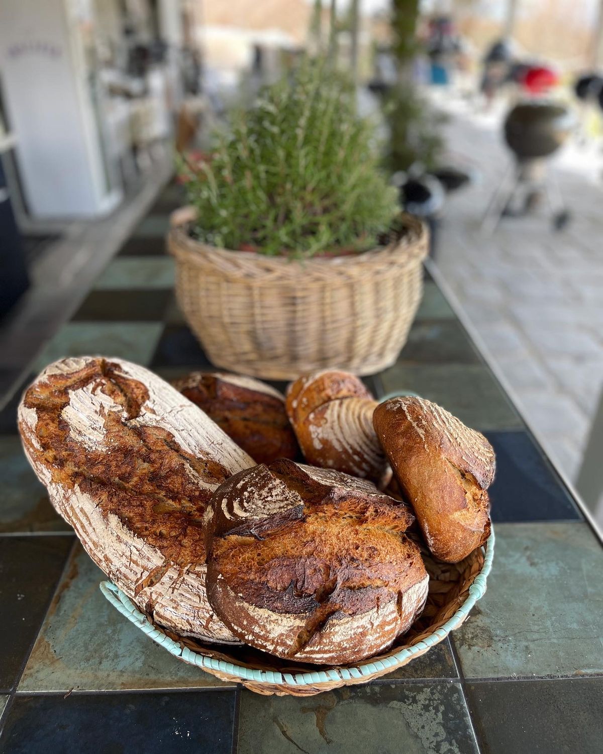 Brotbacken Basiskurs: Dein Einstieg ins Brotbacken