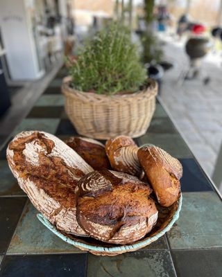 Brotbacken Basiskurs: Dein Einstieg ins Brotbacken