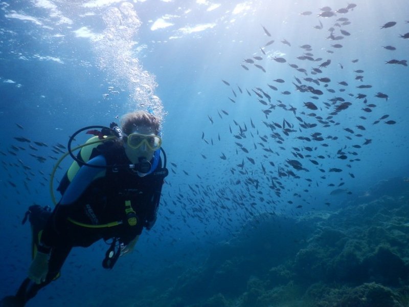 Open Water Diver