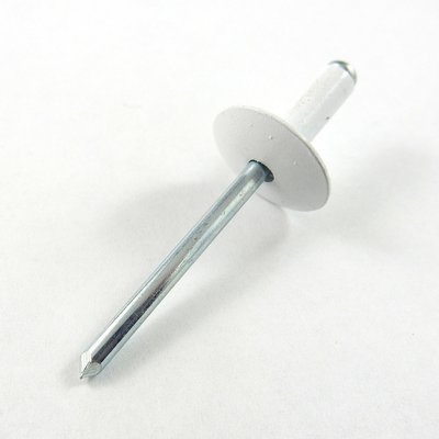 3/16" Large Head White Rivet - 100 Pack