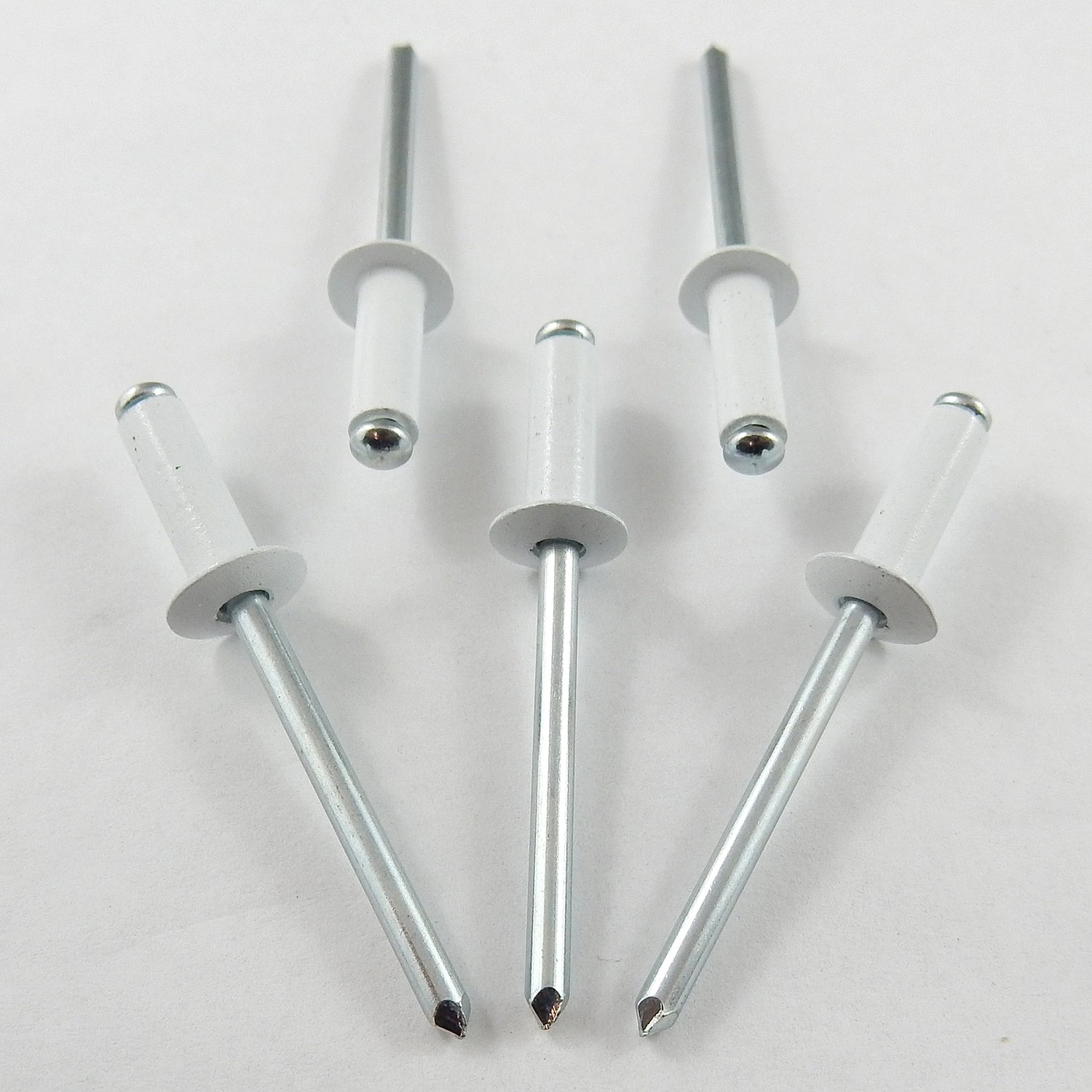 3/16" Small Head White Rivet - 250 Pack
