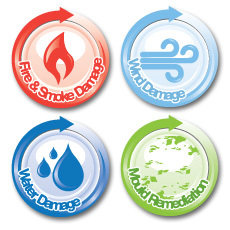 Mold Remediation Certification Course E-book Online