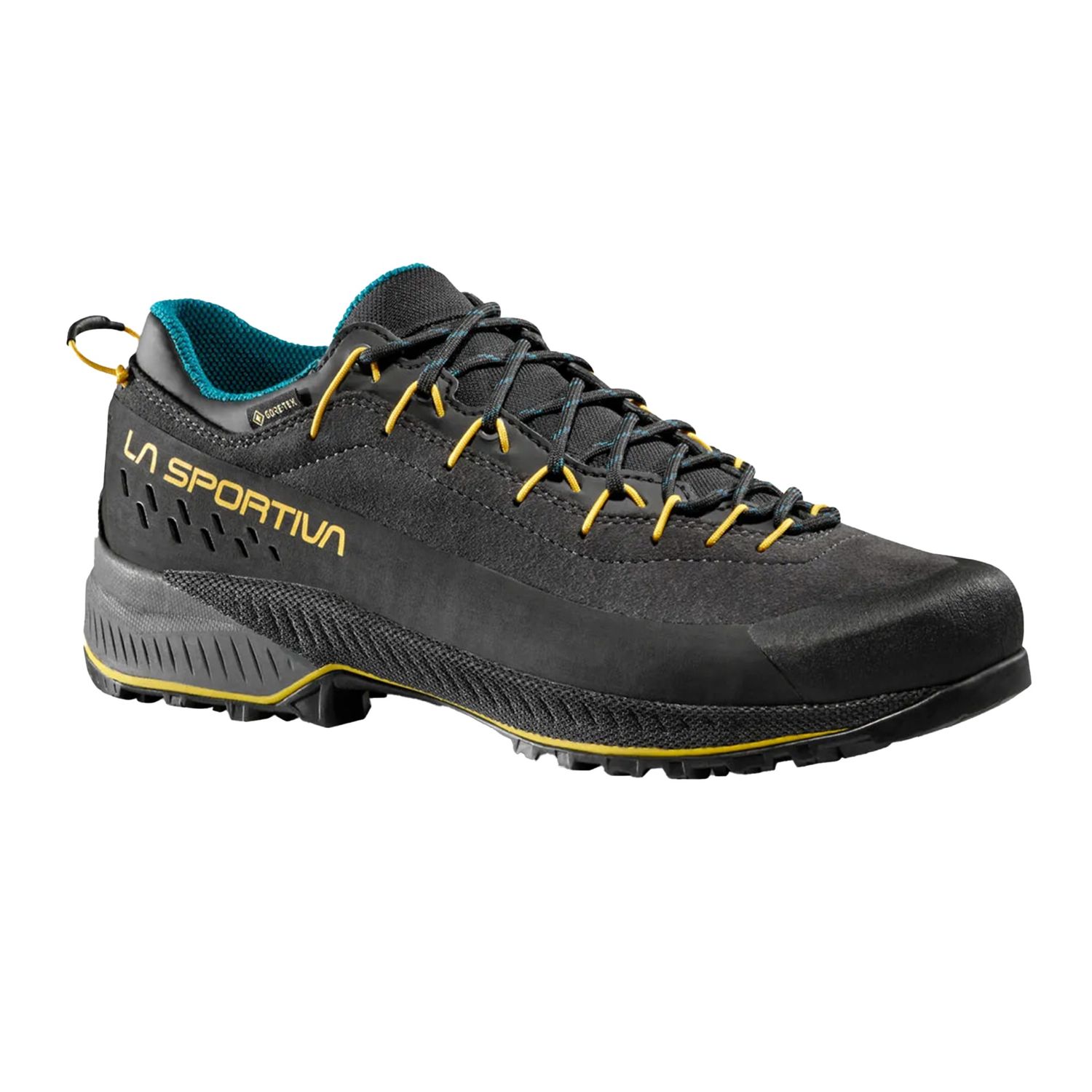 TX4 Evo GTX Men&#39;s Shoes