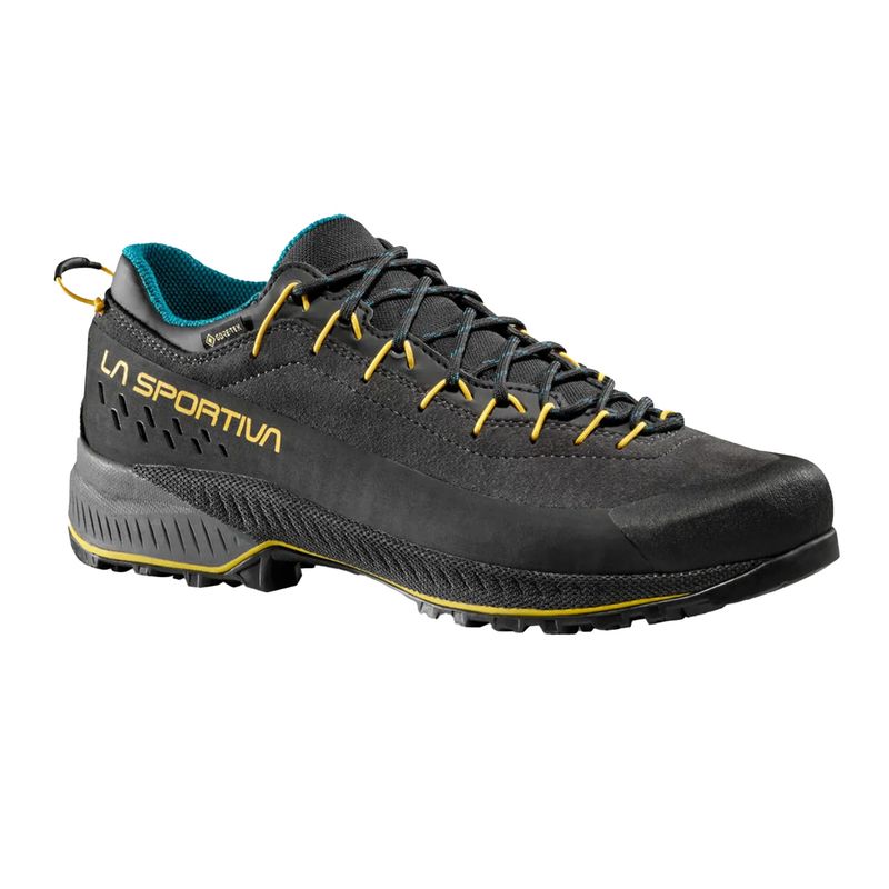 TX4 Evo GTX Men&#39;s Shoes