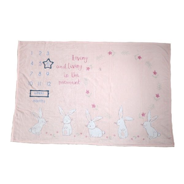 Bunnies Milestone Blanket