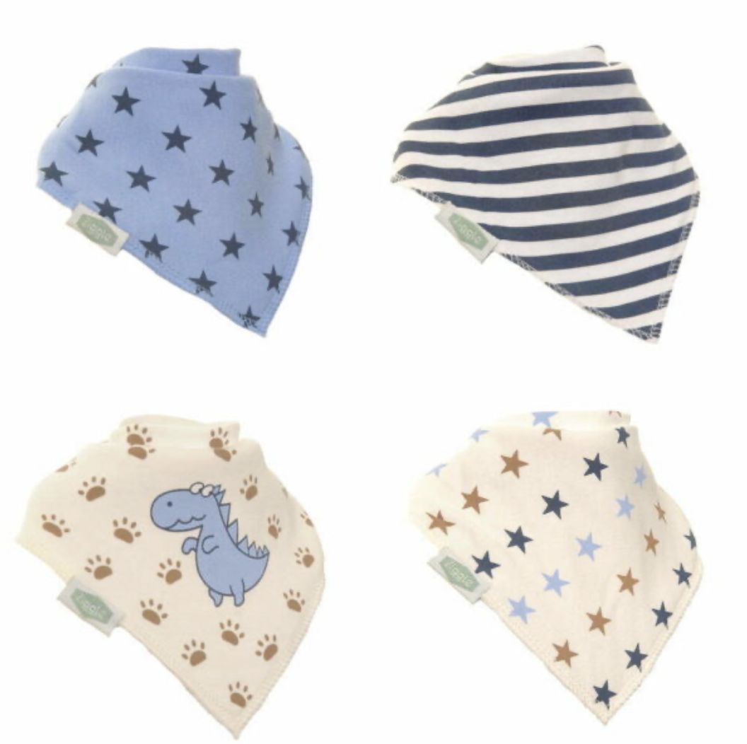 Dino and Stars Dribble Bib Set FUN2059