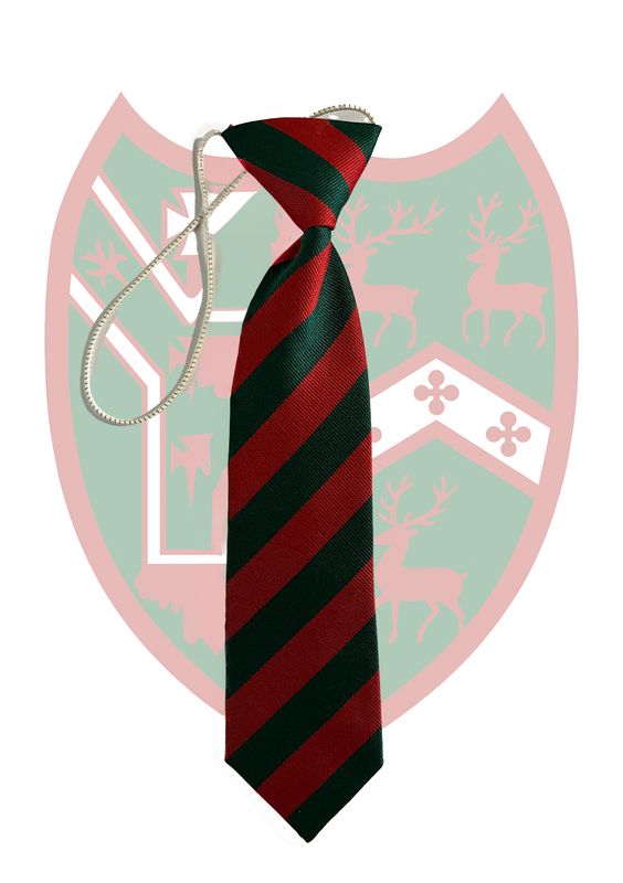 Lisnadill Primary School 10&quot; Elastic Tie