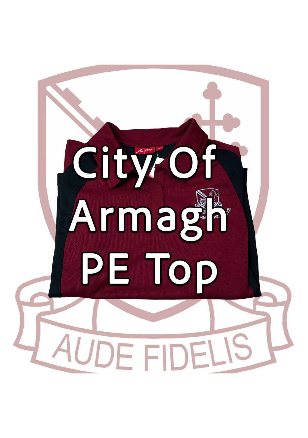 CITY OF ARMAGH POLO COAHS