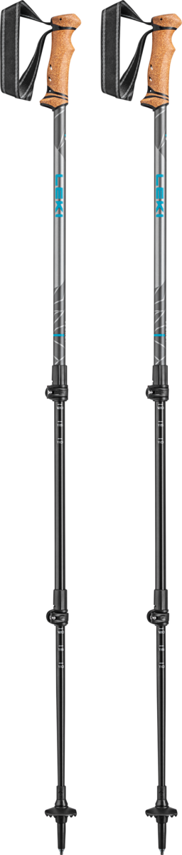 Legacy Walking Pole Set