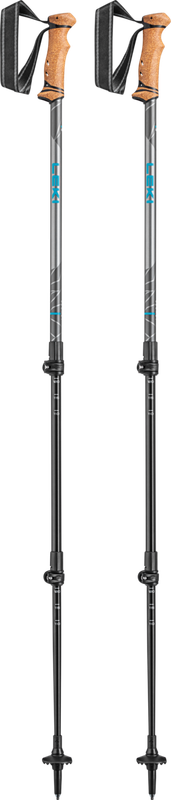 Legacy Walking Pole Set