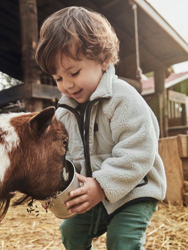 Baby Boys Fleece Jacket 2427 - Chai