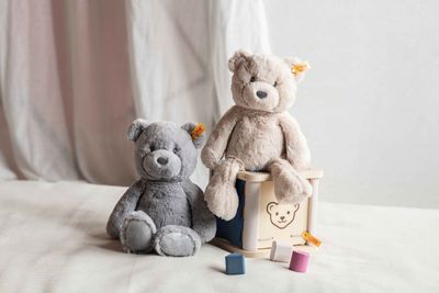 Bearzy Teddy Bear 28cm 241536