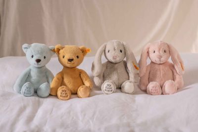 My First Steiff Teddy 26cm 242120