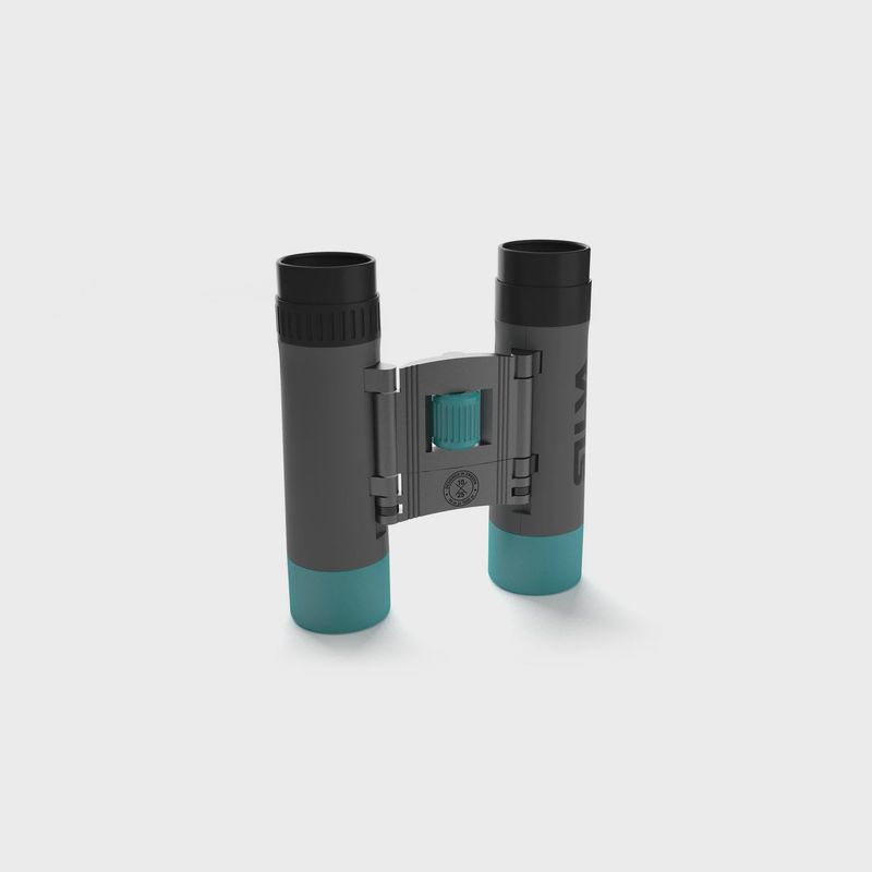 Pocket 10X Binoculars 37615