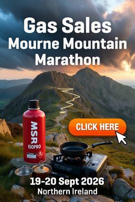 MSR Gas