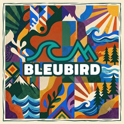 Bleubird Spotlight