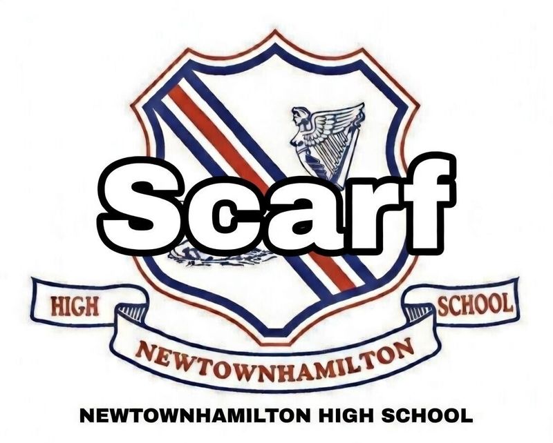 NEWTOWNHAMILTON HS SCARF NHS SCARF