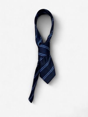 Mount St. Catherine's 39" Tie