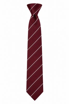 City of Armagh High School Striped Tie