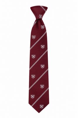 City of Armagh High School 19" Prefect Tie