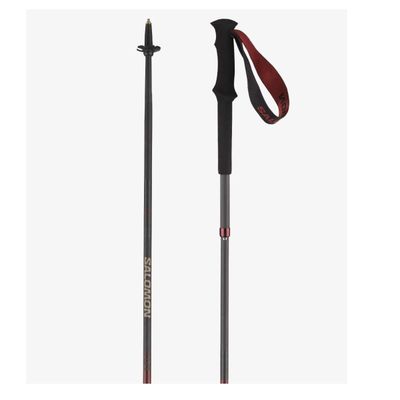 Quest Carbon Foldable Walking Poles | Madder