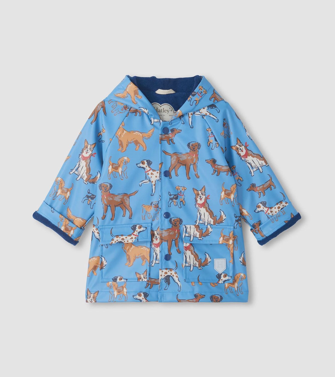 Baby &amp; Toddler Boys Blue Little Pups Raincoat, Size: 12-18M, Style: F26BPT1317