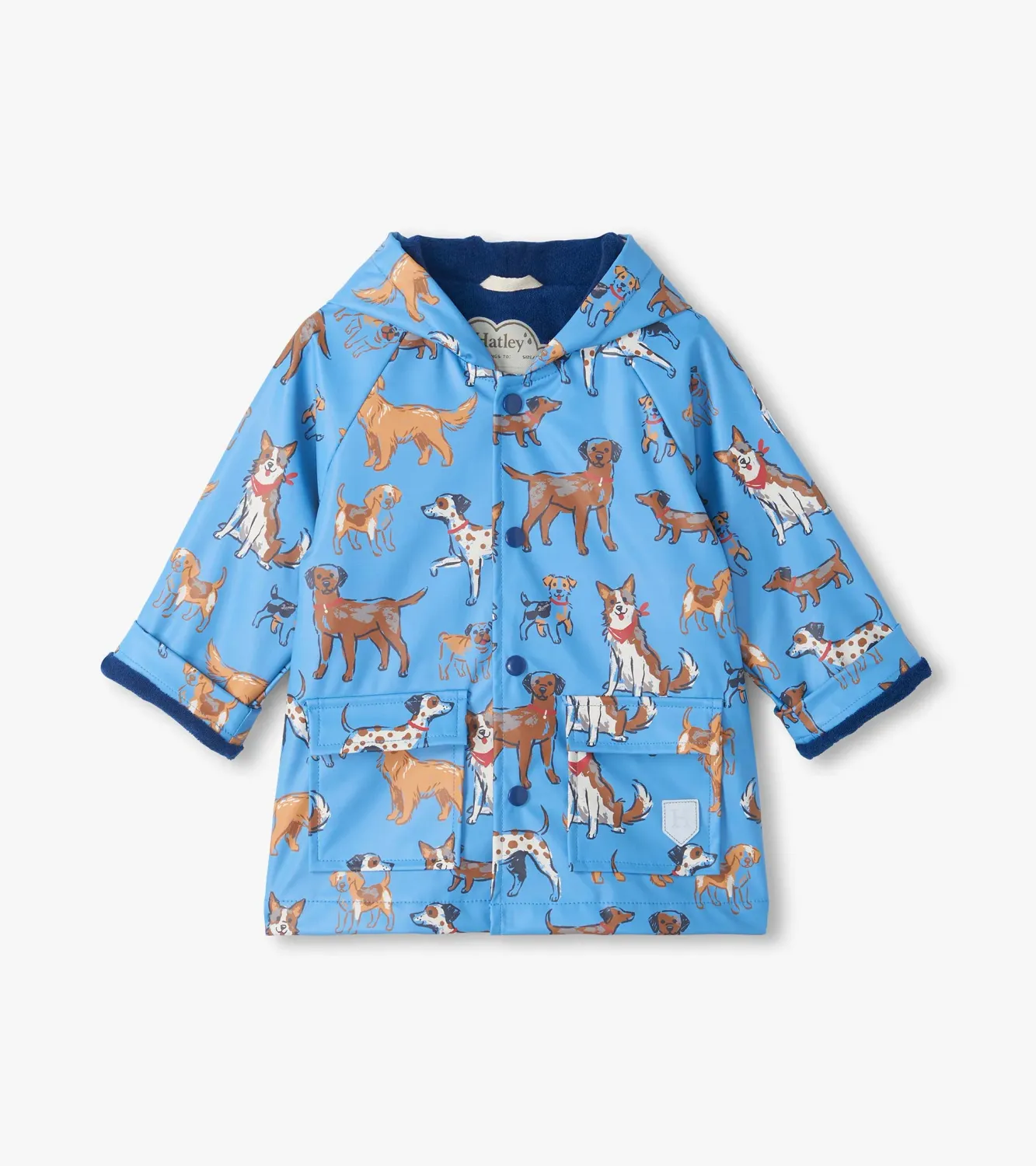 Baby &amp; Toddler Boys Blue Little Pups Raincoat, Size: 12-18M, Style: F26BPT1317