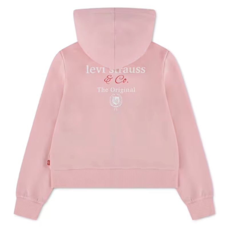 Teenager Meet And Greet Varsity Hoodie 4ER415-A35