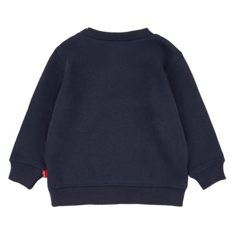 Baby Batwing Crewneck Sweatshirt 6E9079-C8D