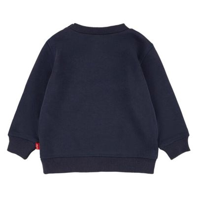 Baby Batwing Crewneck Sweatshirt 6E9079-C8D