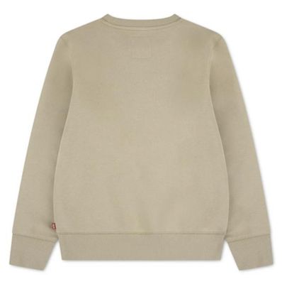 Kids Batwing Crewneck Sweatshirt 8E9079-X5I
