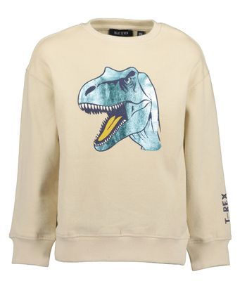 Boy's Pebble Dino Sweatshirt 864791