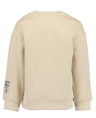 Boy's Pebble Dino Sweatshirt 864791