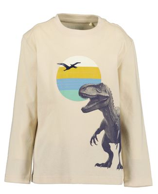 Boy's Pebble Dino Long Sleeve Top 850802