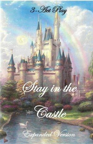 Stay in the Castle -- A 3 Act Play -Expanded Version