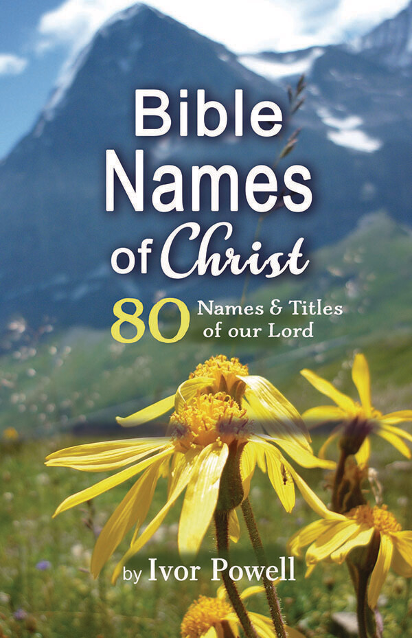 Bible Names of Christ -Reprint  e-book in PDF format