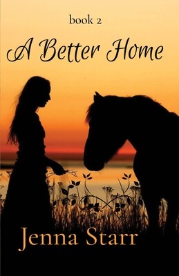 A Better Home, bk 2 e-book in PDF format