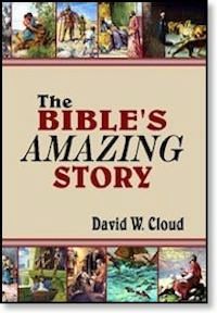 Bible's Amazing Story, The