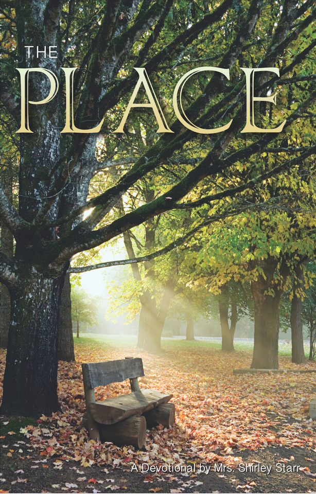 The Place - 365-day daily devotional with nuggets