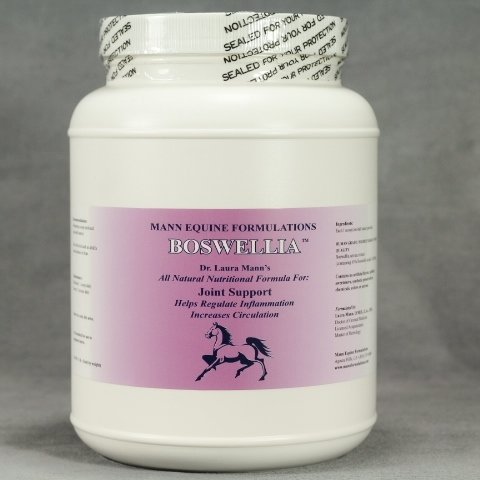 BOSWELLIA  1lb / Inflammation, Circulation