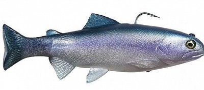 huddleston trout