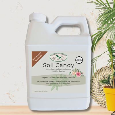 Soil Candy Worm Castings Tea, Organic